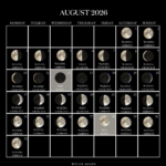 AUGUST 2026 12