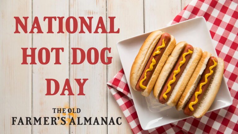 Ways To Celebrate National Hot Dog Day July 2026