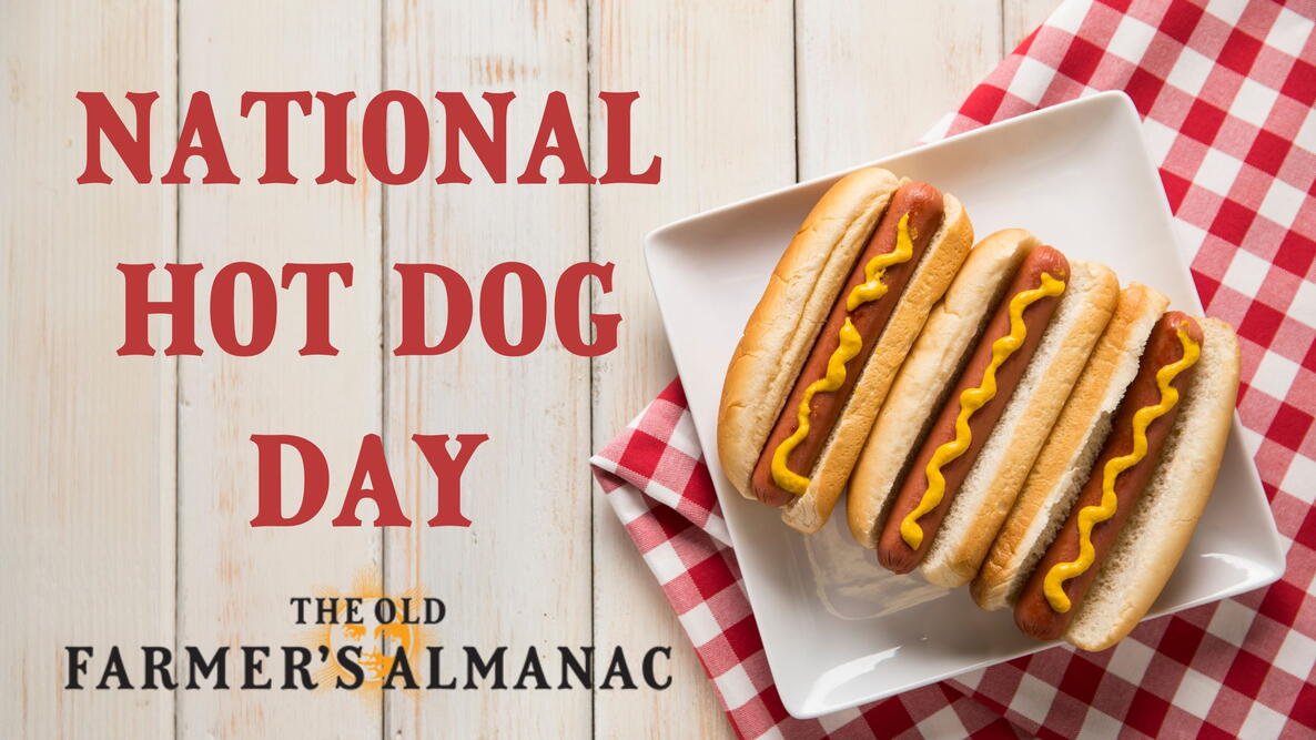 National20Hot20Dog20Day