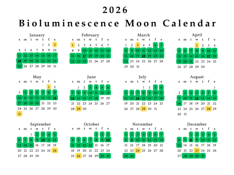 Planning Outdoor Activities Based On August 2026 Moon Calendar