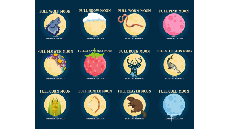 Activities To Celebrate The July 2026 Full Moon